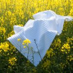 Alt=”Toallas de algodón orgánico”