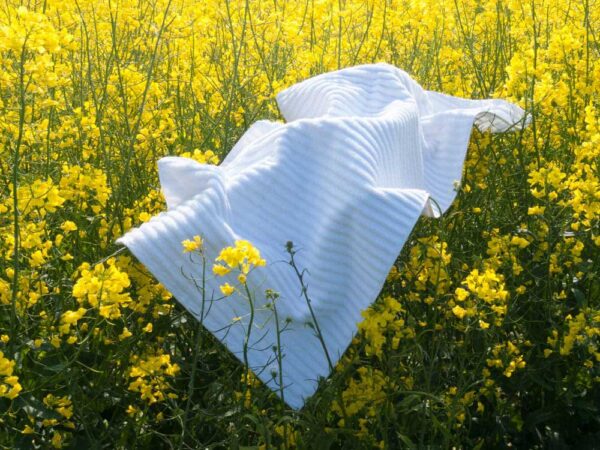Alt=”Organic cotton towels”
